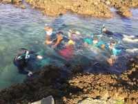 Snorkelling on Year 12 Biology Trip at Hastings Point